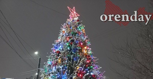 Ёлочка, гори! Оренбуржцам рассказали историю главного символа Нового года