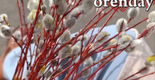 Оренбуржцы готовятся к Вербному воскресенью