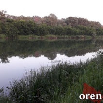 Кому в Оренбуржье сдают участки леса и пляжи для организации отдыха в аренду