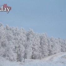 В Оренбуржье будет ветрено вплоть до 18 февраля