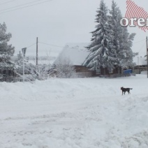 Какую погоду ждать оренбуржцам в ближайшие дни