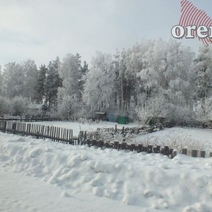 За год в Оренбургской области на нарушениях попались 560 охотников