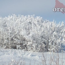 Метели в Оренбуржье могут продолжиться до конца месяца
