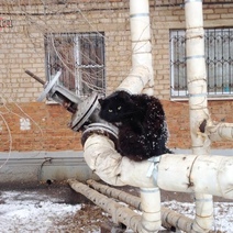 Оренбуржцам на этой неделе обещают первый снег