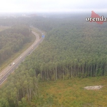 В мае оренбуржцы не смогут посещать ряд лесов