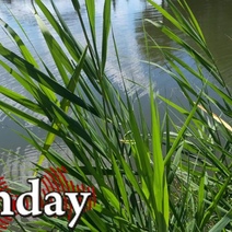 В Илекском районе утонул 66-летний мужчина (18+)