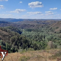 В Оренбуржье на право заключения охотхозяйственного соглашения могут претендовать разве что миллионеры