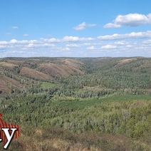 Стало безопасно: в Оренбуржье объявили отбой угрозы атаки БПЛА