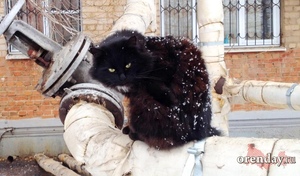 Оренбуржцев предупреждают об опасной погоде: ожидается штормовой ветер и метели