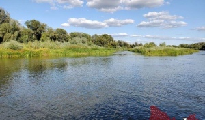 На Ириклинском водохранилище увеличили сброс воды