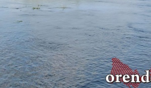 В Оренбуржье из воды спасли троих детей, но одна девочка погибла 