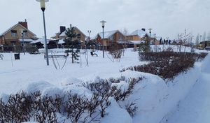 От ледяного дождя - к резкому похолоданию: циклон и антициклон сменят друг друга в Оренбуржье