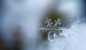 От метелей к оттепели: как изменится погода в Оренбургской области