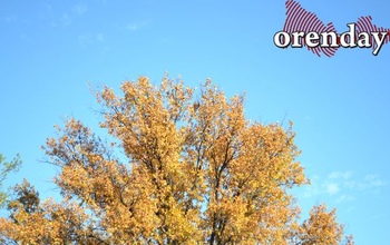 В Оренбуржье приходит черёд дождей и ветров