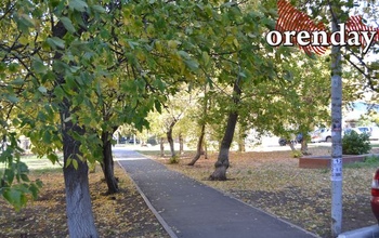 В Оренбуржье 5 августа ожидается град