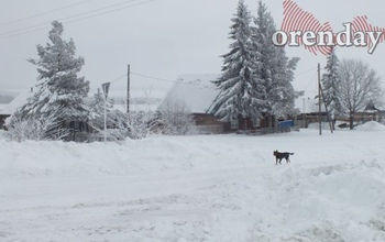 Какую погоду ждать оренбуржцам в ближайшие дни