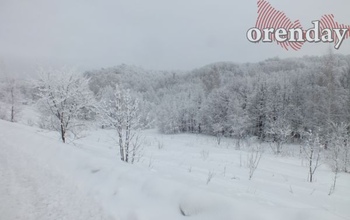 Циклон принесет в Оренбуржье снег и потепление