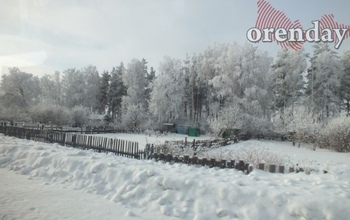 За год в Оренбургской области на нарушениях попались 560 охотников