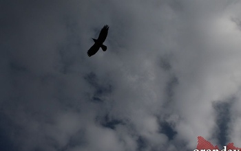Стало безопасно: в Оренбуржье объявили отбой угрозы атаки БПЛА