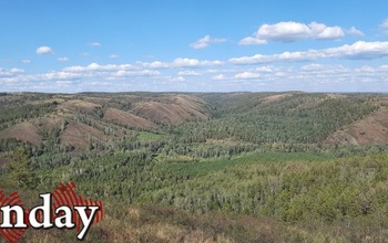 В Оренбуржье сегодня два раза вводили план «Ковер», но сейчас аэропорт работает в прежнем режиме