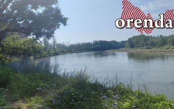 В Саракташском районе утонул подросток, спасая из Сакмары девочку (18+)