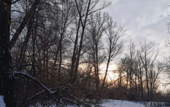 Оренбуржье стало аутсайдером экологического рейтинга среди регионов России 