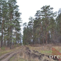 На территории нацпарка 