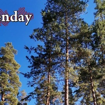 Оренбуржцам запретили самостоятельно посещать нацпарк 