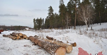 В Оренбуржье сотрудников районного лесничества подозревают в получении крупной взятки 