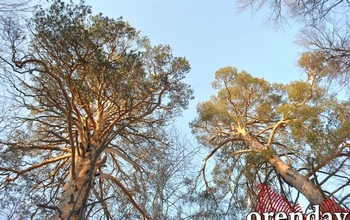 Где оренбуржцам, любителям путешествовать, можно провести грядущие праздники