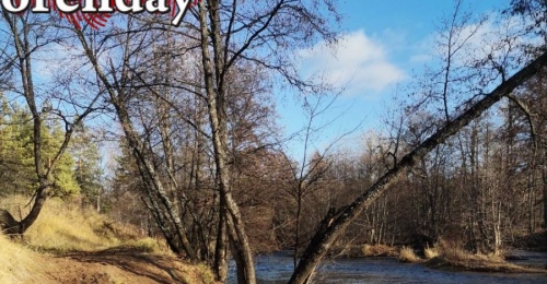 В Бузулукском бору все-таки появятся модульные туалеты, как бы общественность не была против их стоимости