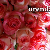 В Соль-Илецке ревнивец при гостях жестоко избил сожительницу из-за подаренных ей цветов