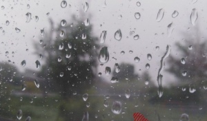 В Оренбуржье в ближайшие сутки ожидаются сильный дождь и ветер