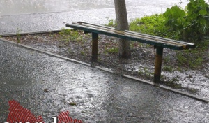 Новая рабочая неделя в Оренбуржье начнётся с дождей