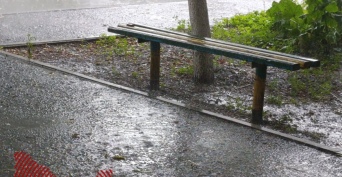 Новая рабочая неделя в Оренбуржье начнётся с дождей