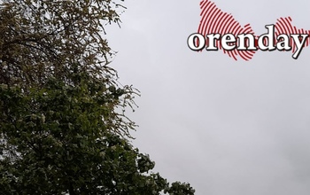 Внимание! В Оренбуржье ожидается значительное усиление ветра