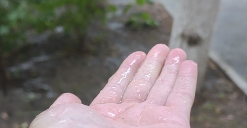 В Оренбуржье ожидаются дожди и ветреная погода, но тепло сохранится