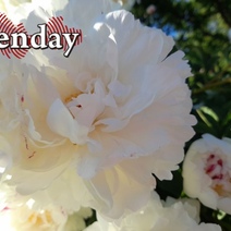 Синоптики предупреждают, что жители Оренбургской области могут 16 июня перегреться