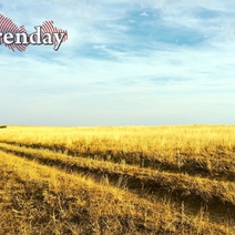 Чиновница в Оренбуржье поставила интересы бывшего мужа выше интересов государства 