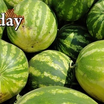 Гражданин Таждикистана «притворился» арбузом ради пересечения границы с РФ в Оренбуржье