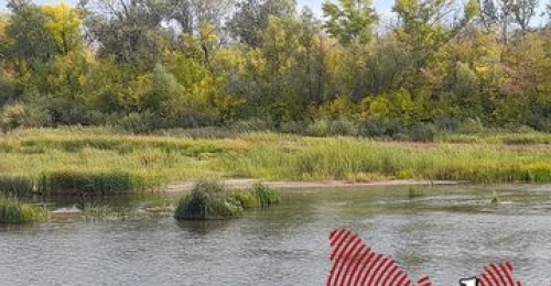 В Оренбургской области назвали пляжи, где официально разрешён отдых у воды