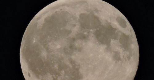 Жители Оренбуржья увидят Розовую Луну