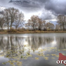 Где в Оренбурге ждать в этом году нашествия комаров