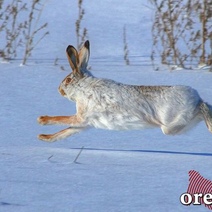Весна в Оренбургской области откладывается