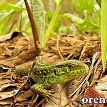 Чем порадует оренбуржцев погода на Первомай и Пасху