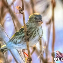 2023 год стал самым теплым в истории Оренбурга