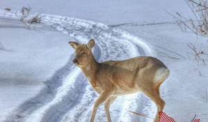 От лютых морозов - к мягкой зиме: как изменится погода в Оренбургской области