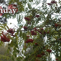 Погода в Оренбуржье совсем портится: нас ждут ненастные выходные