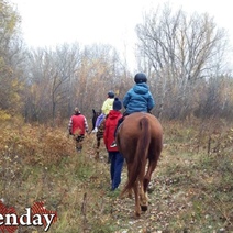 В Оренбуржье небольшая передышка от дождя, но с новой недели без зонта нельзя