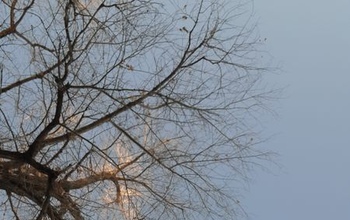 Мягкая зима на пороге: прогноз погоды в Оренбургской области на ближайшие дни